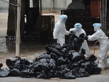 Prasečí chřipka zabila v Pekingu dva lidi