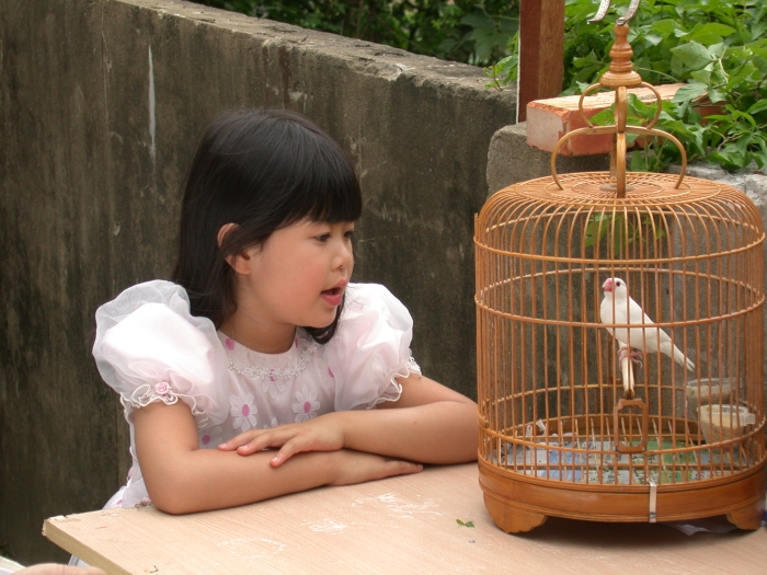 Malá holčička sní o svobodě. Roli dcerky paní Yan ztvárnila malá Fa Du, jejíž otec byl zabit čínským režimem protože praktikoval Falun Gong. (shenzhoufilm.com)