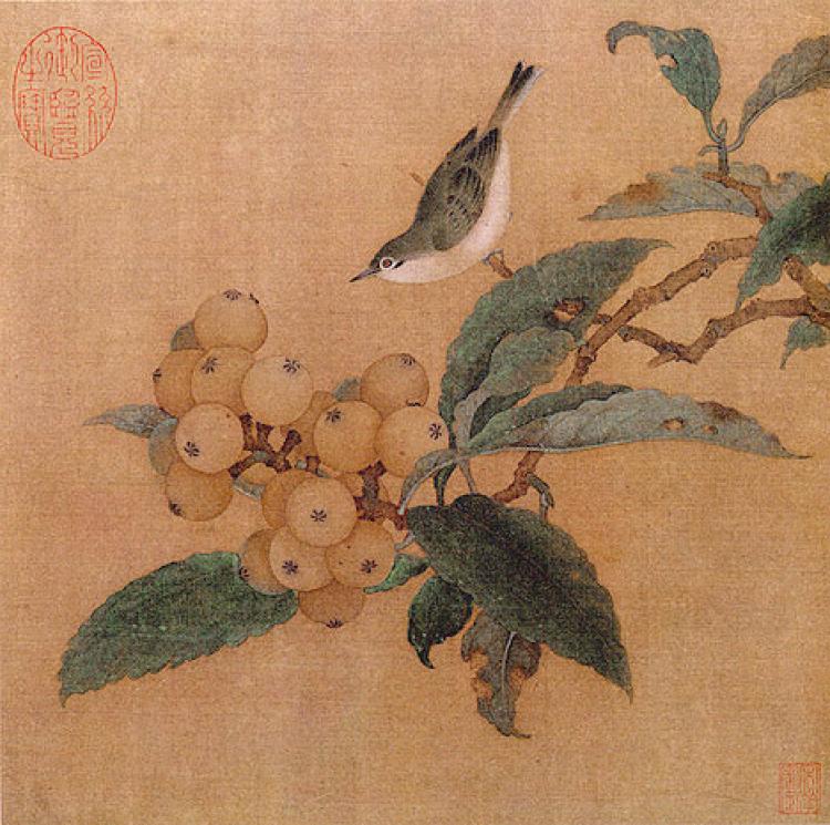 Malba z jižní dynastie Sung (1127-1279 nl.), lokvát a horský pták, malba na hedvábí 28,9 x 29 cm.(Public domain)
